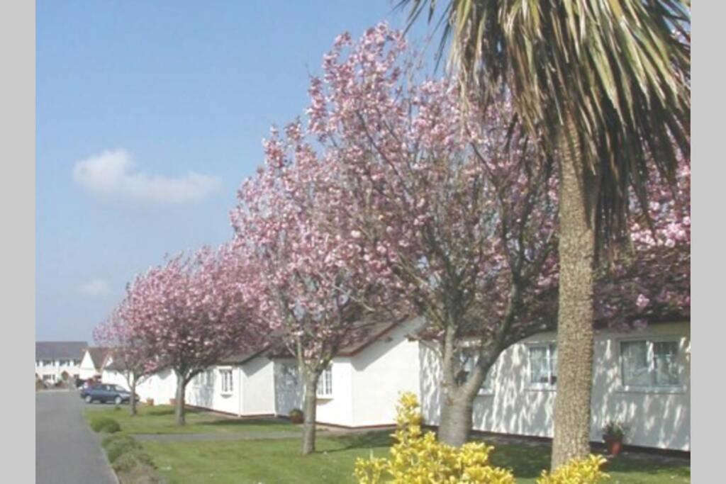 Perfect For The Family And Beaches - Gower Cwtch Villa Swansea Exterior photo